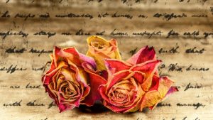 Important Terms Every Poet Should Know: Poetry and Prose