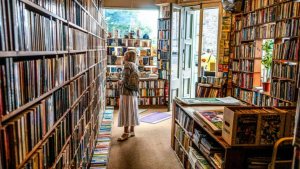 Genres vs. Tropes: Getting your novel to the right readers